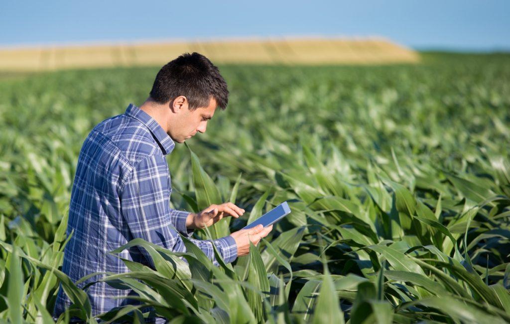 Engenharia Agronômica